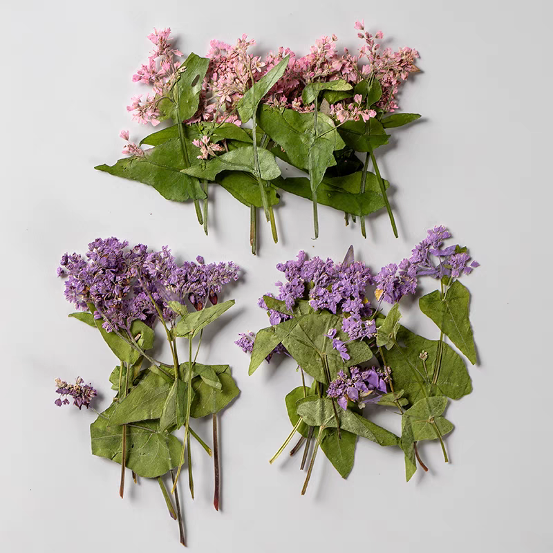 Resin Art Bookmark - 1Set Natural Dried Fagopyrum Flower Herbarium