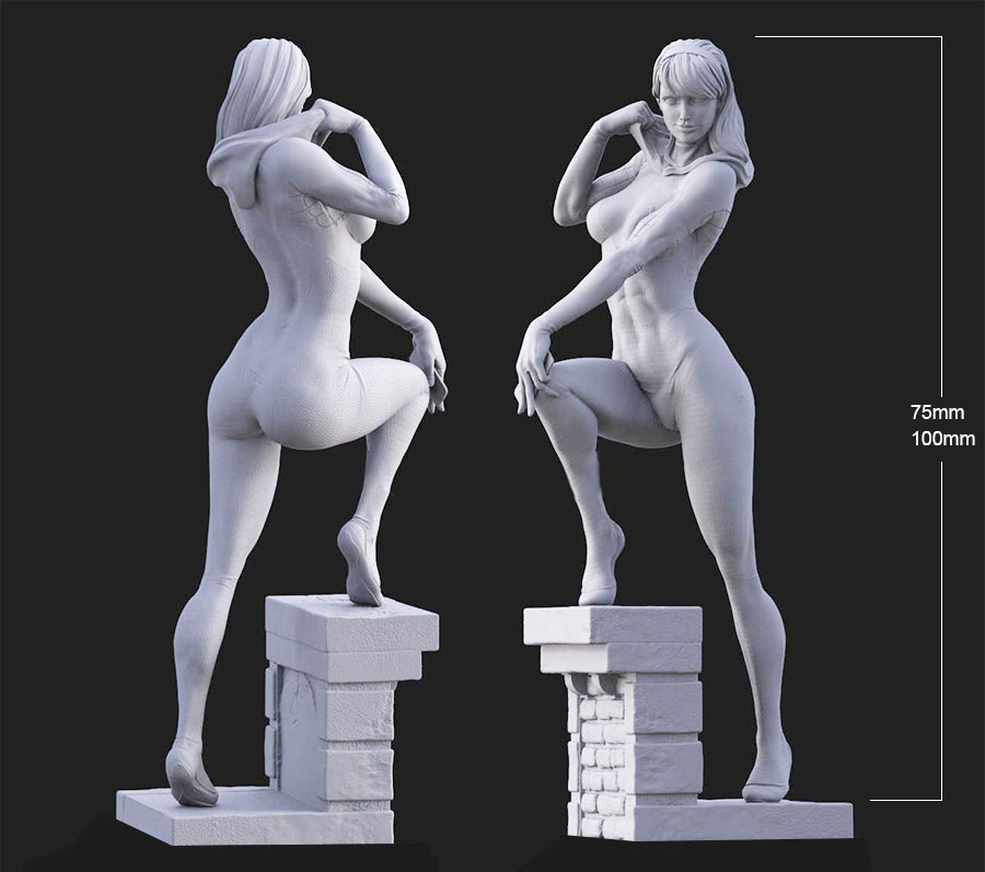 Resin Art Zelda - 1/24 75mm 1/18 100mm Resin Model