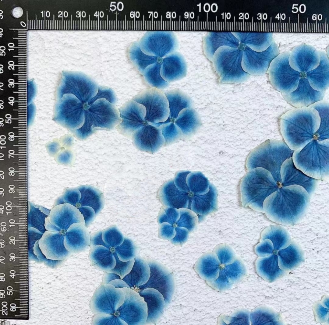 Resin Art Bookmark - Ép Khô Trắng Xanh HydrangeaPlant Herbarium