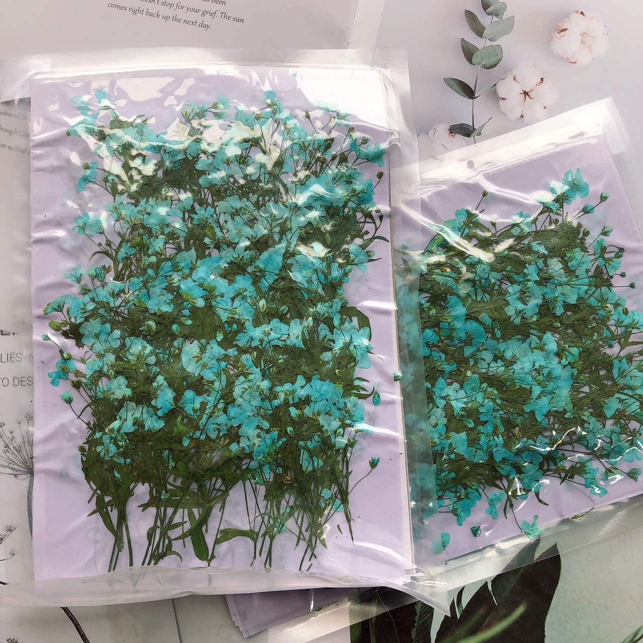 250 Chiếc Ép Khô Gypsophila Pa - đánh giá và giá Resin Art Bookmark