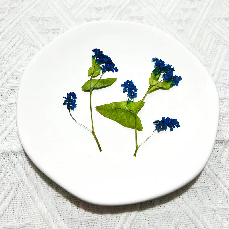 1Set Natural Dried Fagopyrum F - đánh giá và giá Resin Art Bookmark