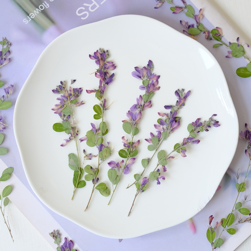 6pcs,nature Lespedeza Formosa  - đánh giá và giá Resin Art And Jewelry