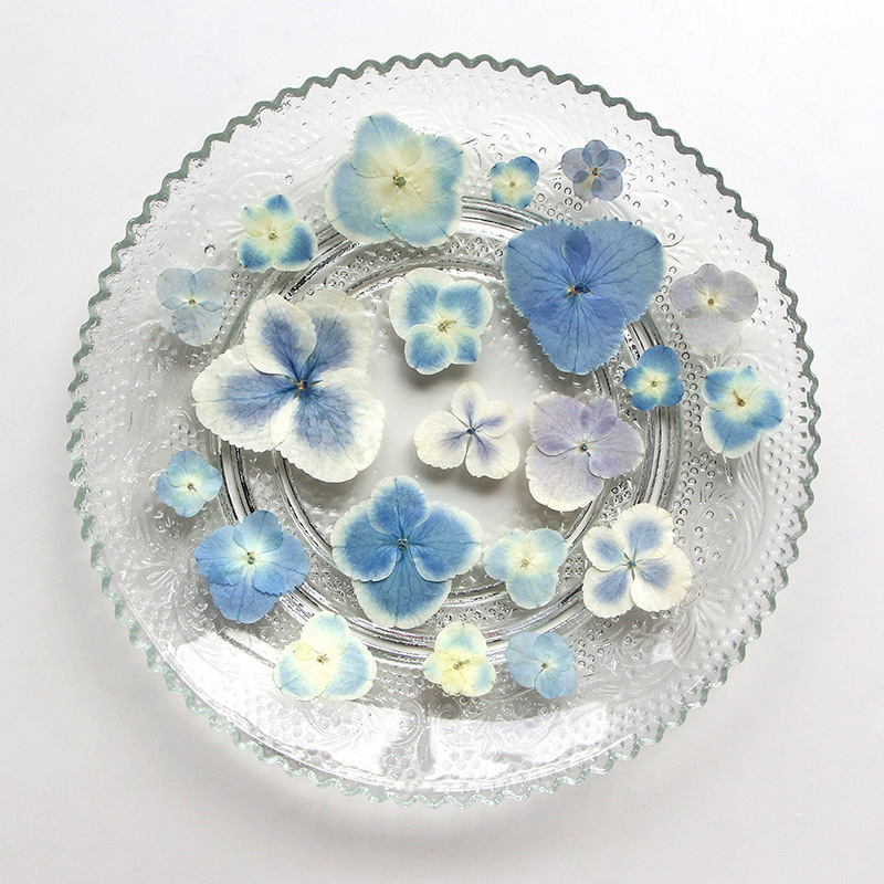Ép Khô Trắng Xanh HydrangeaPla - đánh giá và giá Resin Art Bookmark