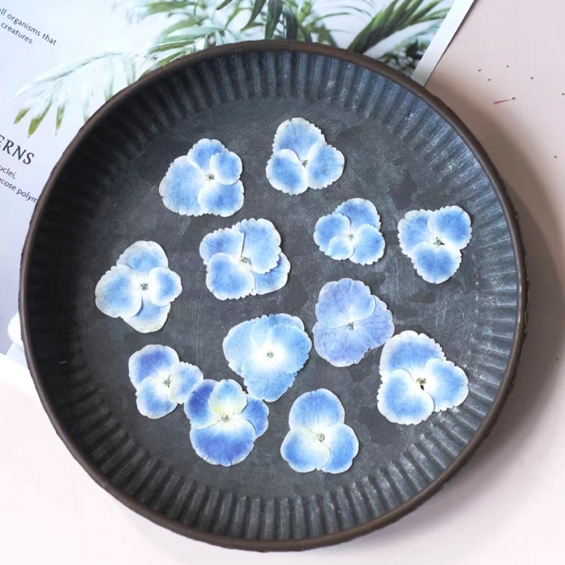 Ép Khô Trắng Xanh HydrangeaPla - đánh giá và giá Resin Art Bookmark