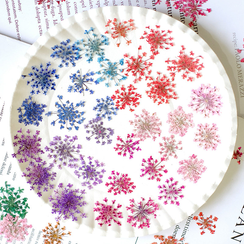 24pcs, 2-2.5cm, Nature Dyed Mi - đánh giá và giá Resin Art And Jewelry