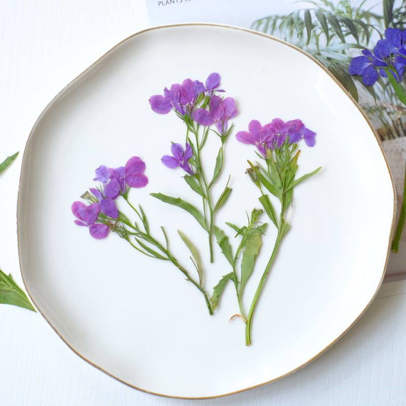 6pcs/8-13cm,nature Lobelia Eri - đánh giá và giá Resin Art And Jewelry