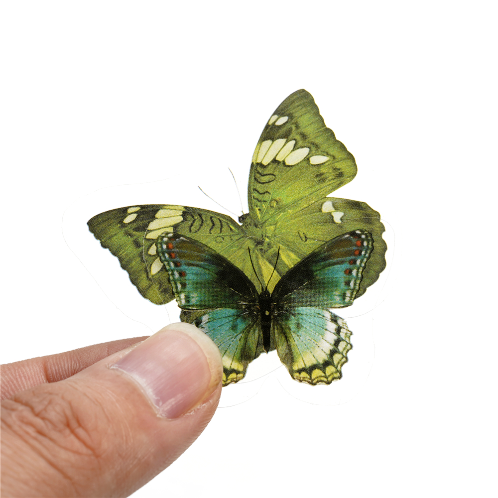 40pcs Colorful Butterfly Wings - đánh giá và giá Resin Art And Jewelry