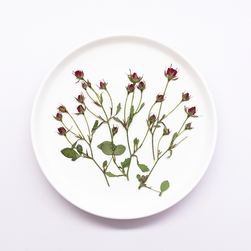12pcs,Dried Rose Multi Bud Bra - đánh giá và giá Resin Art Bookmark