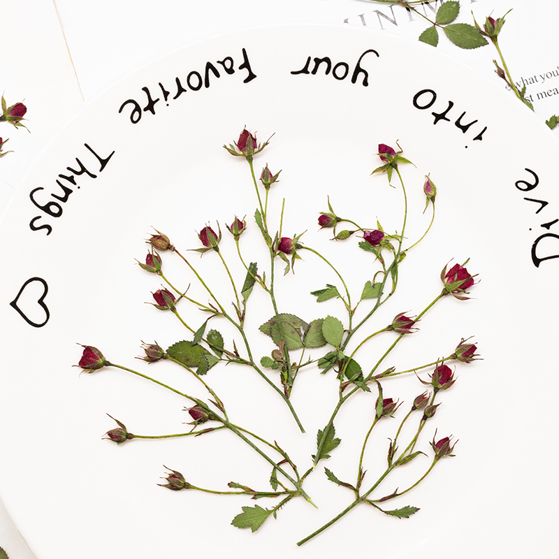 12pcs,Dried Rose Multi Bud Bra - đánh giá và giá Resin Art Bookmark